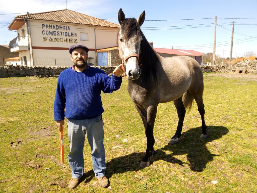 Pension El Abuelo Carbellino Bagian luar foto